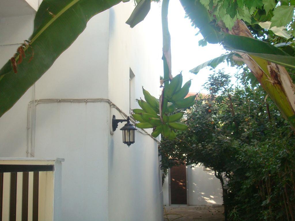העיירה קוס Karis Hotel מראה חיצוני תמונה